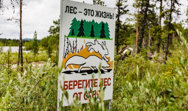 С 20 мая на территории Мурманской области установлен пожароопасный сезон