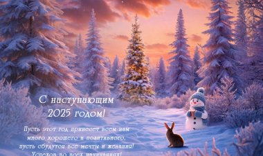 С Новым 2025 годом!