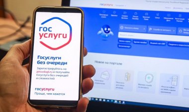 Справку об участии в СВО можно получить через госуслуги