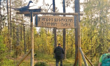 Летний спортивный лагерь открыл свои двери для юных ковдорчан