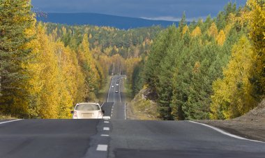 Отделение СФР по Мурманской области компенсировало оплату проезда к месту отдыха и обратно 6 537 пенсионерам
