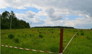 В Мурманской области упрощен процесс льготного получения земли участниками специальной военной операции