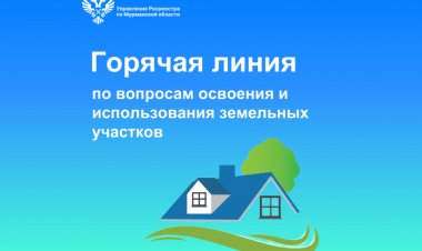 «Горячая линия» Росреестра: новые правила использования земельных участков