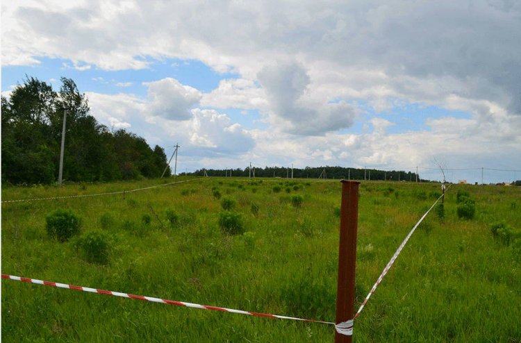 В Мурманской области упрощен процесс льготного получения земли участниками специальной военной операции