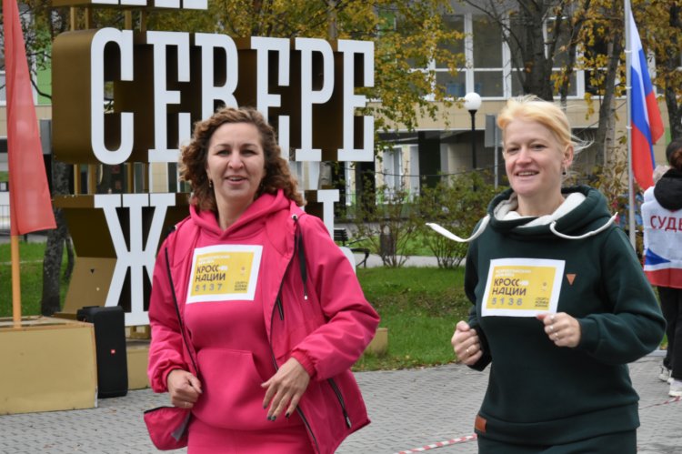 Спорт, азарт, Ковдор