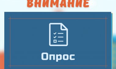 Ваше мнение важно! Примите участие в опросах до 30 декабря