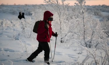 В Мурманской области утверждена региональная программа «Укрепление здоровья и формирование здоровьесберегающей среды»