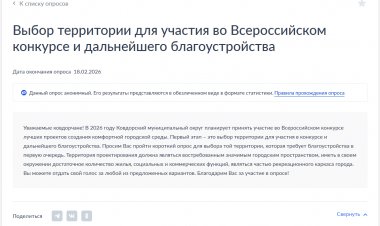 Какую территорию в Ковдоре стоит благоустроить в первую очередь?