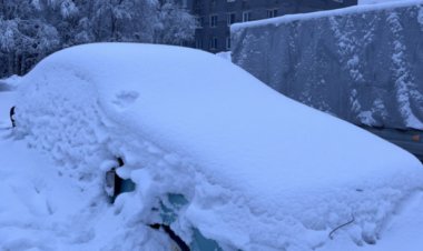 Администрация Ковдора подвела итоги работы 2025 по выявлению брошенных автомобилей и демонтажу вывесок