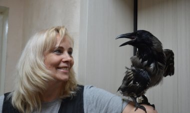 Каркушины радости, или вторая жизнь одной птицы