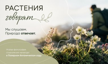 В Полярно-альпийском ботаническом саду научились «разговаривать» с посетителями от имени растений