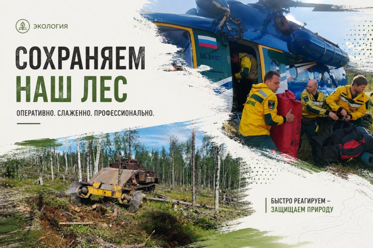 В Ковдорском округе с начала месяца произошло два лесных пожара